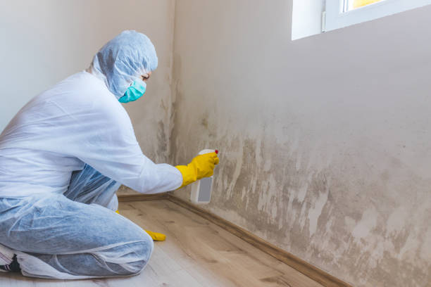 Commercial Mold Remediation assessment for commercial property in Bel Alton